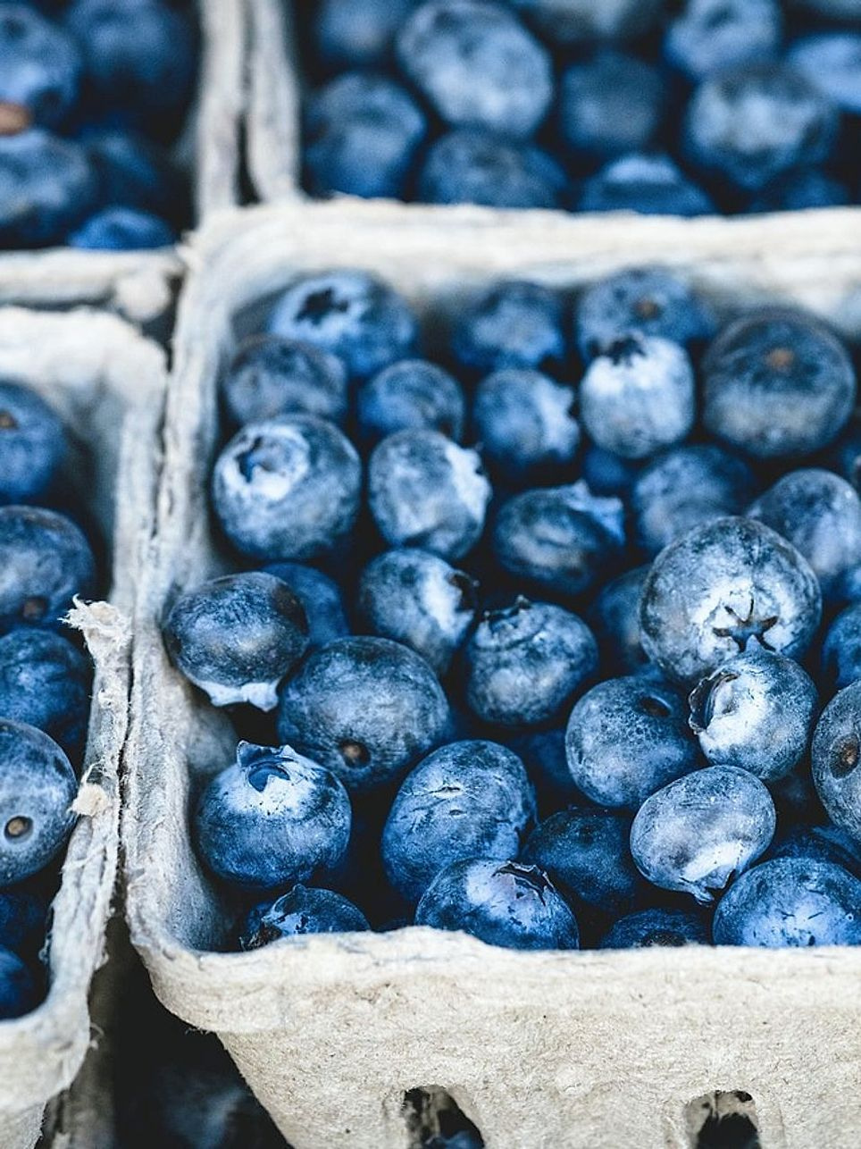 Fresh Fruit Daily